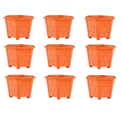 JCA Plastic Planter Flower Pot Stylish Indoor Outdoor Gamla Plant Containers for Home Balcony Garden Nursery Home Decor with Solid Look and Feel (Hexagonal) (B0BF1FKVSJ) Amazon Price History, Amazon Price Tracker