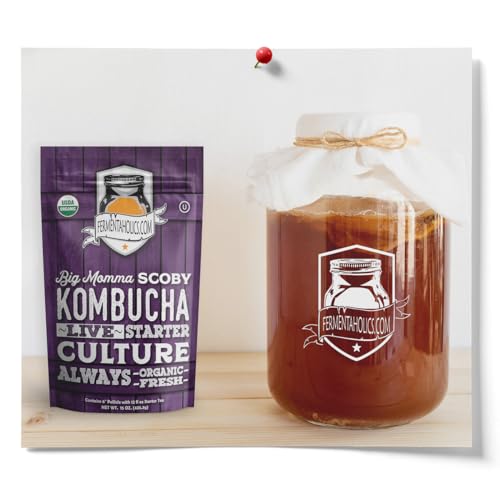 Fermentaholics BIG MOMMA Kombucha SCOBY – 12 fl o z – 6" Pellicle + 12 oz Starter Tea – Organic Kombucha Culture – Makes 1 Gallon