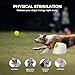 Sporttismo AFP Automatic Ball Launcher for Dogs Interactive Puppy Pet Ball Outdoor Thrower Fetch Machine, 6 Balls Included (2.5 inch) for Medium to Large Dogs, Rechargeable Battery