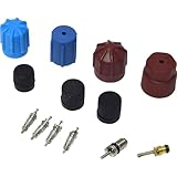 A/C System Valve Core and Cap Kit Compatible With Mitsubishi Mighty Max 1983 1984 1985 1986 1987 1988 1989 1990 1991 1992 1993 PC-1030245