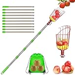 Ompinda Orchard Fruit Picker, 13 FT Adjustable Fruits Picker Tool with Stainless Steel Pole and Big Basket for Apple/Orange/Mango/Lemon/Peach/Guavas/Pears