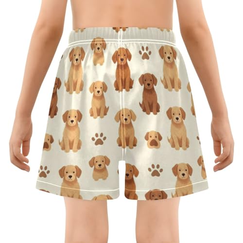 Short de bain marron pour chien de 4 ans idéal pour les vacances à la plage