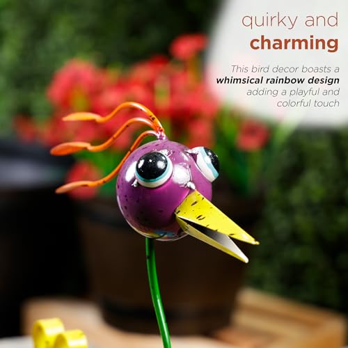 image for Alpine Corporation LAZ328HH Quirky Metal Rainbow Bird Decor, Animal St