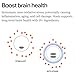Stasis Daytime Energy and Focus Supplement to Pair with Stimulant - New and Improved Formula with CoQ10 and Rhodiola Rosea - All-Day Energy, Mood, and Brain Support - 25 Servings