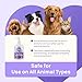 HICC PET Dog Dental Care Spray, Vet-Recommended Breath Freshener & Teeth Cleaning Spray, Eliminate Bad Breath, Support Healthy Gums, Help Reduce Plaque & Tartar, No Brushing, 5.1 Fl Oz