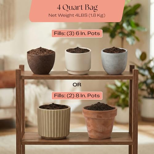 Image of Rosy Soil Cactus & Succulent Potting Mix, 4 Quarts | Organic Succulent Potting Soil, Chunky Fast Draining, Peat-Free, Root Boosting Mix, for AloeVera, Cacti, Indoor Succulents