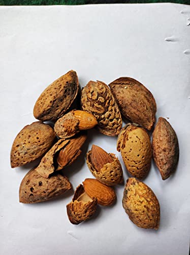 Image of Grade B /sasta badam /Low Price mamra badam 1kg