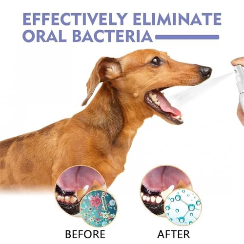 Snellspy Cat & Dog Dental Cleaning Spray, Remove Tartar & Freshen Breath, Pet Oral Care Spray, Cat Dog Teeth Cleaning Spray (1pcs)