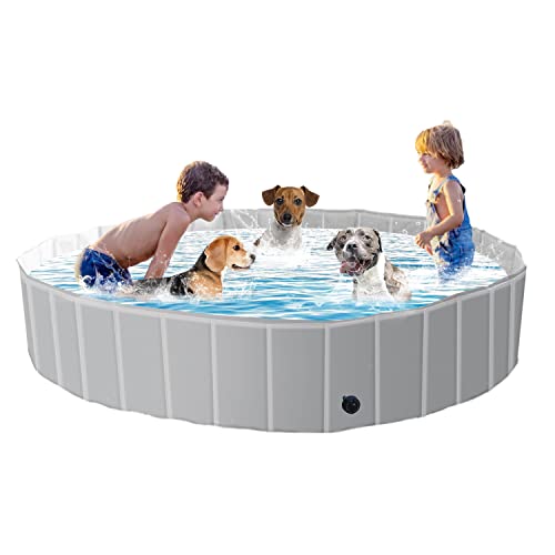 10 Best Deep Dog Pools for Your Pup's Summer Fun Reviewed and Ranked