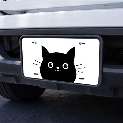 Wondertify License Plate Black Cat Face Buy Online In Botswana At Desertcart