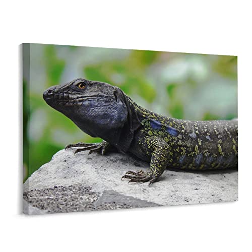 Art Posters Animal Black Lizard Wall Posters Wall Art Paintings Canvas Wall Decor Home Decor Living Room Decor Aesthetic Prints 24X32Inch(60X80Cm) Frame-Style #TOP7