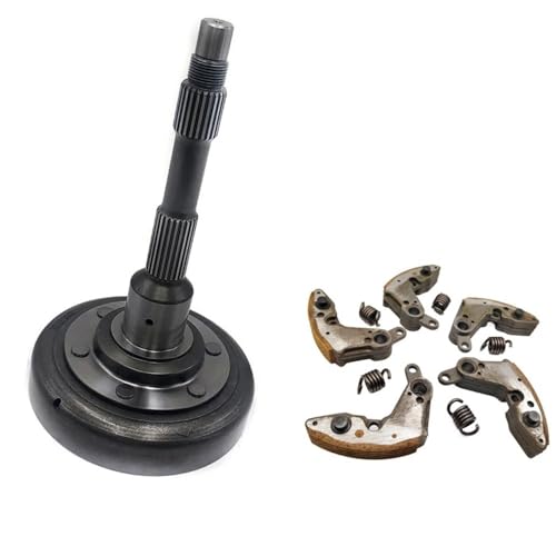 Tambour d'entraînement robuste et disque à ressort pour embrayage SSV CF196