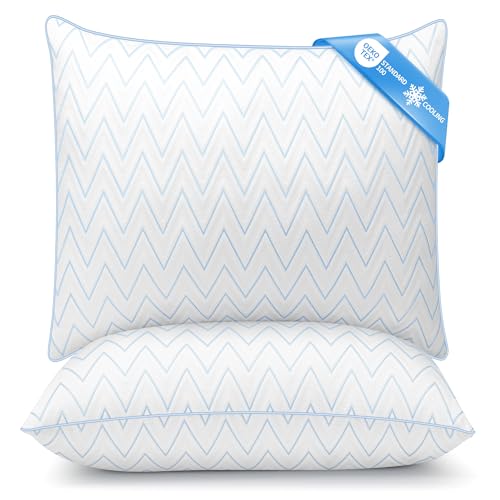 TESQ Oreiller 60x60 cm Lot de 2 Oreillers Moelleux et Respirants, Garnissage 70% 7D et 30% 1.33D Fibre Polyester, Confort et Soutien Équilibré, Adapté à Toutes Les Positions de Sommeil