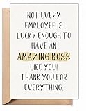 TRIDECOR Boss Appreciation Card – Funny Thank You Card for Boss, Birthday, Boss’s Day – 5x7 Inch Folded Greeting Card with Envelope & Sticker – Gift for Him, Her, Men, Women