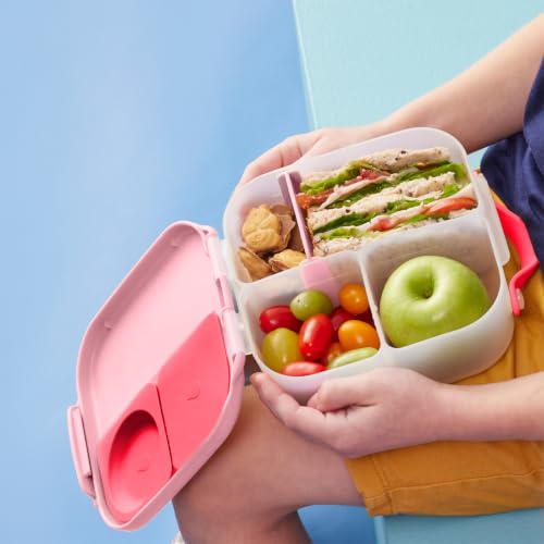 Image of b.box Lunch Box for Big Eaters All Ages - 8.5 Cup Leak Proof Bento Box with 4 Compartments, School Lunch Container with Ice Pack, Dishwasher Safe, BPA-Free, PFAS-Free - Flamingo Fizz