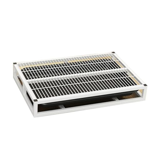 STARTIST pgCgC g[jOgC |[^ubVObh ~ ɕۂ p{bNX, L