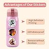 55pcs Demon Manga Slayer Stickers for Kids, Cool Anime Waterproof Vinyl Decal for Teen Adult Boy Laptop, Travel Case, Phone, Bike, Water Bottle, Guitar, Computer, Skateboard (demon55) - Image 5