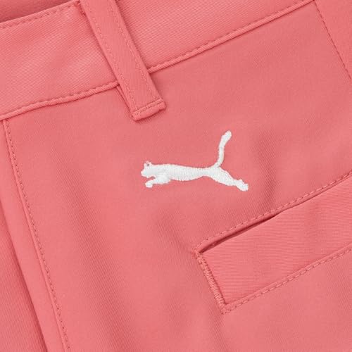 PUMA Golf 2019 Girl's Short3