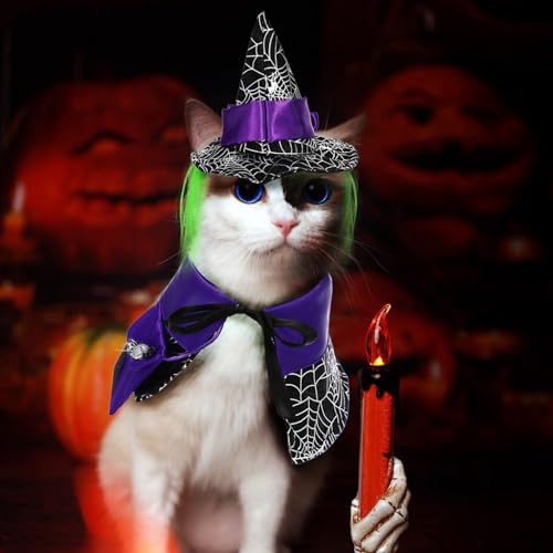Disfraz Halloween para Perro con capa y sombrero gato miniatura 3