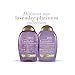 OGX Hydrate & Color Reviving + Lavender Luminescent Platinum Shampoo, 13 Ounce Bottle