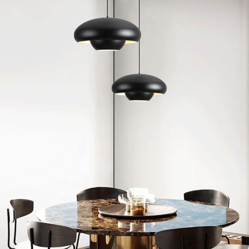 Suspension en métal suspendue avec source lumineuse pour éclairage décoratif - 6
