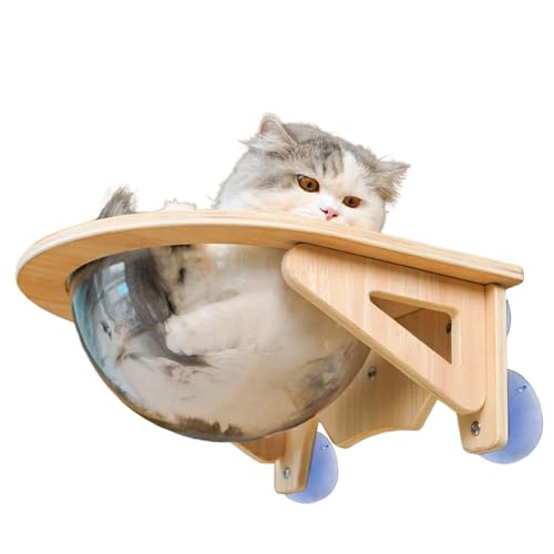 Estantes de pared para gatos, cueva para ventana con burbuja transparente – Apoyabrazos de pared, para casa, oficina, cocina, salón, apartamento, esquina interior
