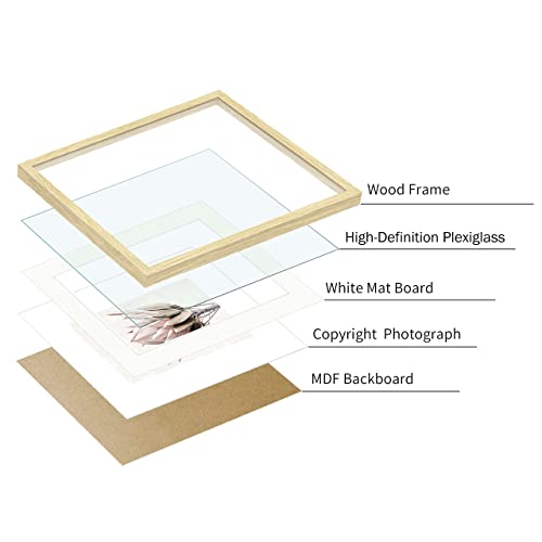 Framed Floral Wall Art Sets – Pink Protea Flower Photographs Prints With Beige Wood Frame For Bathroom Or Bedroom(16'' X 20'' X 2 Panels) #TOP4