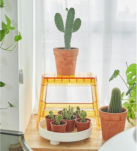 Acrylic Folding Step Ladder - Foldable Stool for Indoor/Outdoor Use - Space Saving Transparent Chair for Kitchen and Library