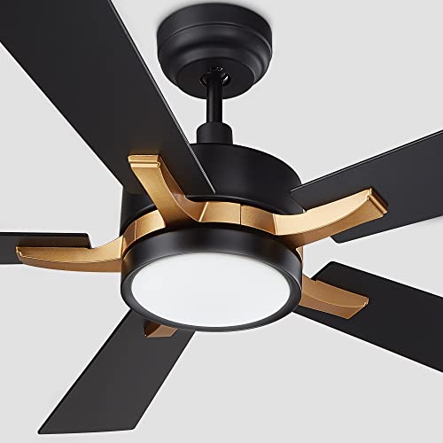 What are the Features of Smart Ceiling Fans
