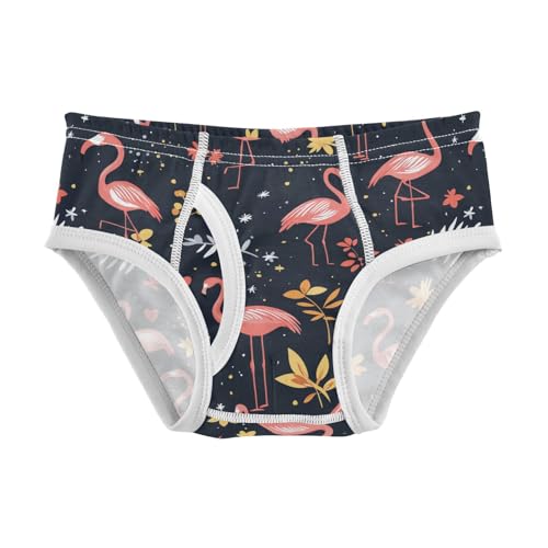 Wusikd Flamingo Boys' Underwear Cotton Flowers Leaves Boys Briefs Soft Toddler Underwear 2T