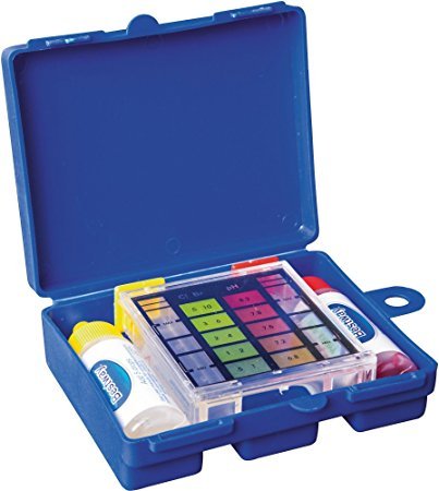 CLORO DICLORO 10 KG GRANULARE 56% PER PISCINA DISINFETTANTE CERTIFICATO AZIONE RAPIDA LEGNAGOFERR + TEST PH PISCINA BESTWAY 58274