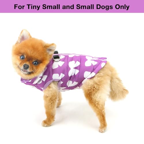 Image of SMALLLEE LUCKY STORE Dog Coat with D-Ring for Small Dogs, Purple, XL | Bow Print, Water-resistant Shell, Padded Warmth, Zip-up Fit, Winter Walks, Chihuahua, Yorkie, Small Dog Harness Jacket
