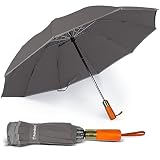 RainBOSS Automatic Travel Umbrella with 10 Ribs, Large Windproof Umbrellas for Rain & Sun, Compact F