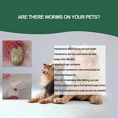 carrapatos animais estimação | Pet controle pulgas profissional ou família durável à prova d'água,C