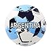 Icon Sports World Cup Country Training Outdoor Soccer Ball Argentina Ball Home