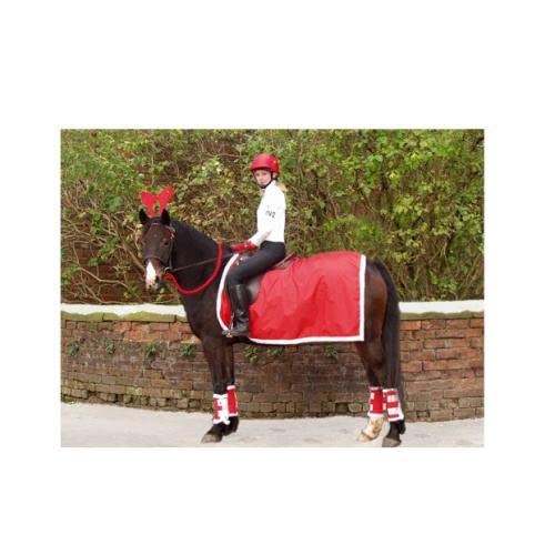 Enveloppes De Jambes Pour Cheval Showquest – Thème Noël – 1 Paire, Rouges