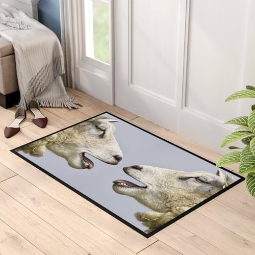 Paillasson brebis face à face moutons tapis déco drôle et joyeux