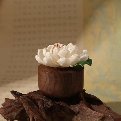 Diffuseur de fleurs passif d'huile essentielle pour décoration de bureau zen