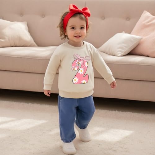 Bagilaanoe Toddler Baby Girl Birthday Outfit 1/2/3/4/5 Year Old Birthday Long Sleeve Sweatshirt Pullover Shirt Top4