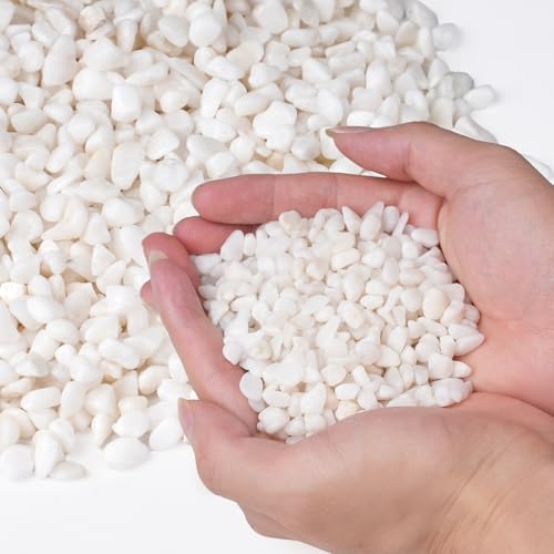 Image of 5 lbs White Aquarium Gravel, 1 /5 Inch White Rocks for Plants, Small Pebbles for Vases, Succulents, Bamboo, Natural Decorative Pebbles for Plants Drainage, Cactus, Crafts