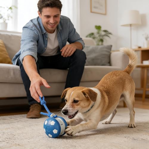 Jouet interactif pour chat avec corde de queue rechargeable pour la chasse - 3