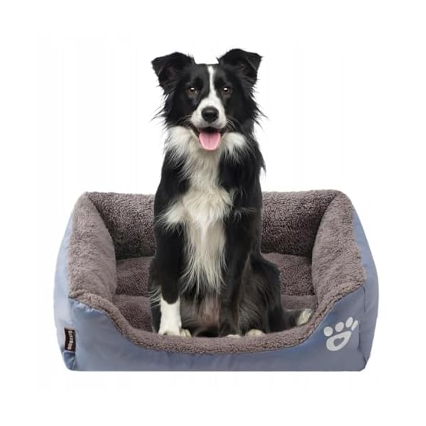 Ecarla Hundebett mittelgroße Hunde, Katzenbett Waschbar, L, 75x50x13 cm, Grau (L: 75x50x13cm)