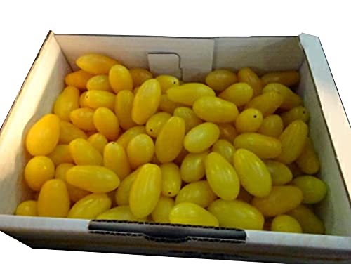 LYt[c~jg}g ܂ NAij1kg