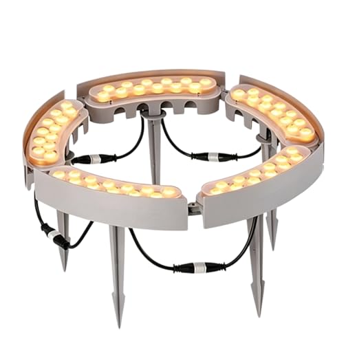Illuminer un arbre de jardin avec spot anneau étanche 3000K