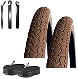 2 x Rexway Fahrradreifen 28