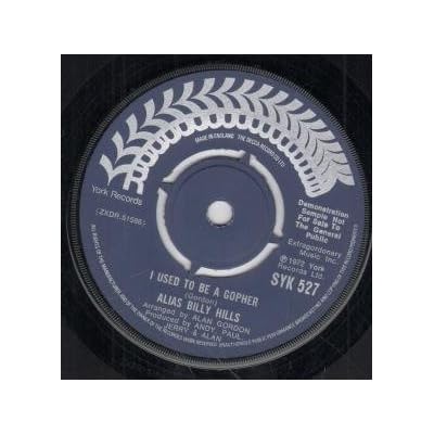 I USED TO BE A GOPHER 7 INCH (7" VINYL 45) UK YORK 1972