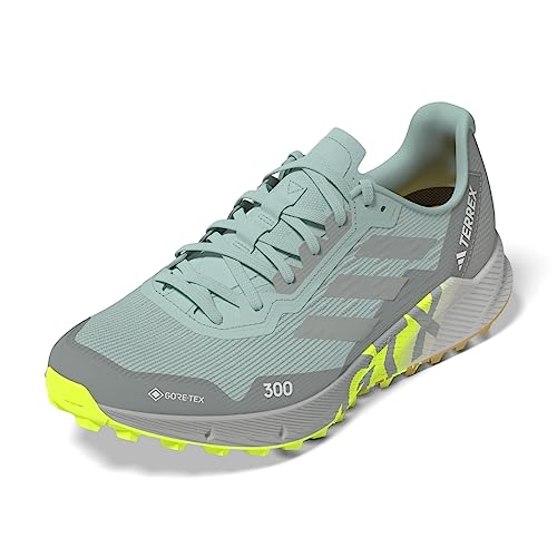 Image of adidas Women's Terrex Agravic Flow 2 GTX W Sneakers