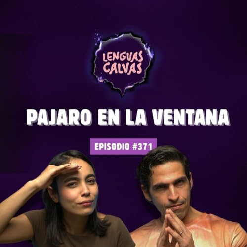 PAJARO EN LA VENTANA | #371 Lenguas Calvas Podcast