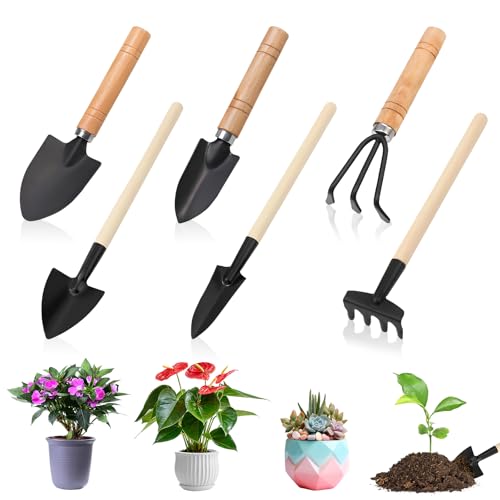 6 Pièces Outils de Jardinage, Mini Outils de Jardinage, Mini Outil de Jardin, Outil de Jardinages à Main avec Manches en Bois, Pelle, Bêche, Râteau, pour Balcon Potager Plantes Grasses