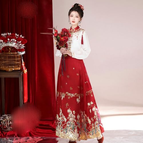 Jupe visage de cheval plissée et raffinée de style hanfu